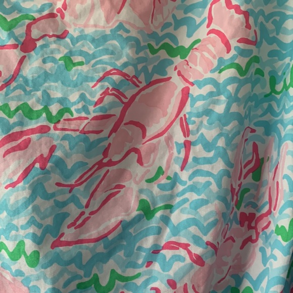 Lilly Pulitzer holy grail Delia lobstah roll dress - Picture 3 of 10